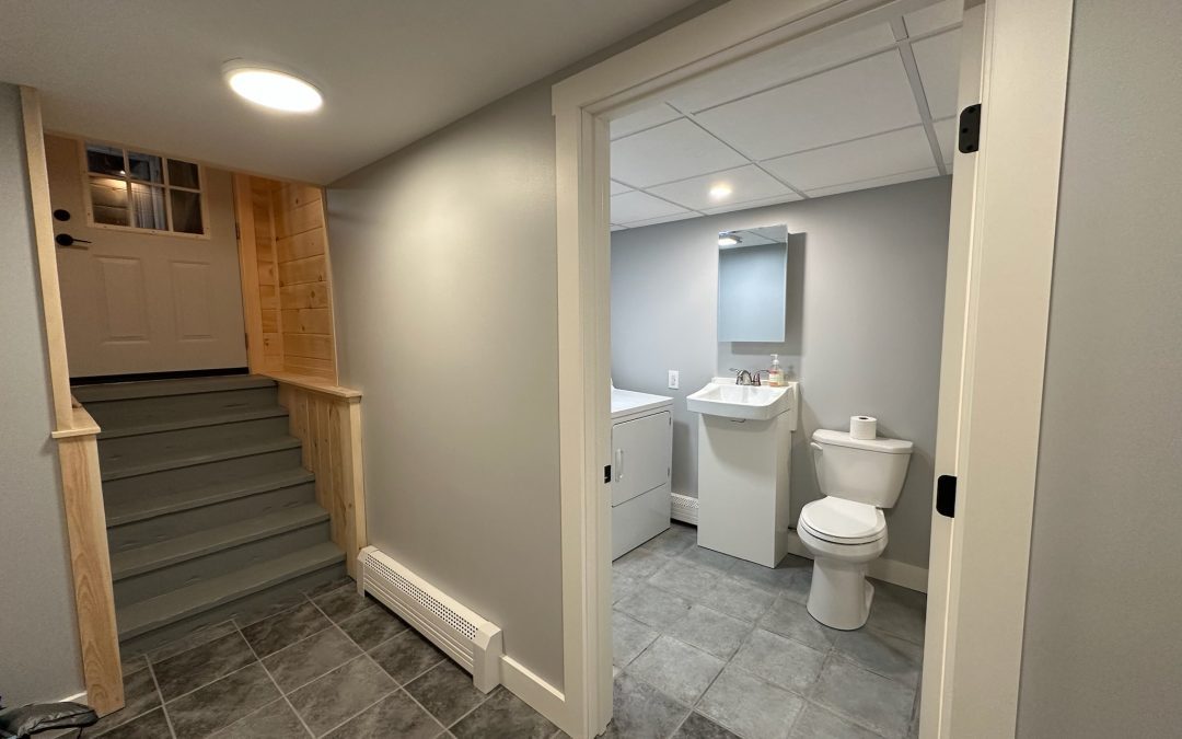 Basement Renovation 1