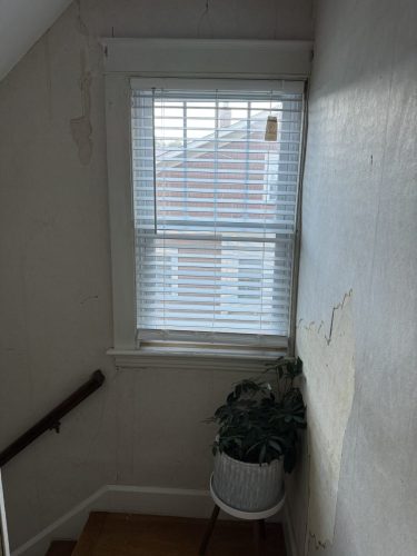 IMG 1487