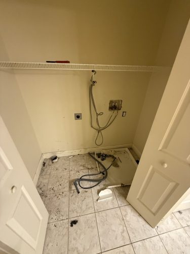 IMG 2052