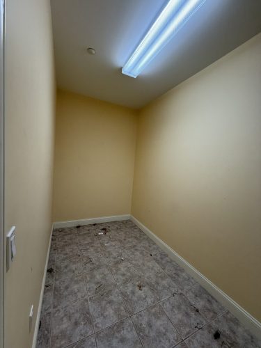 IMG 2073