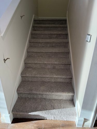 IMG 2548